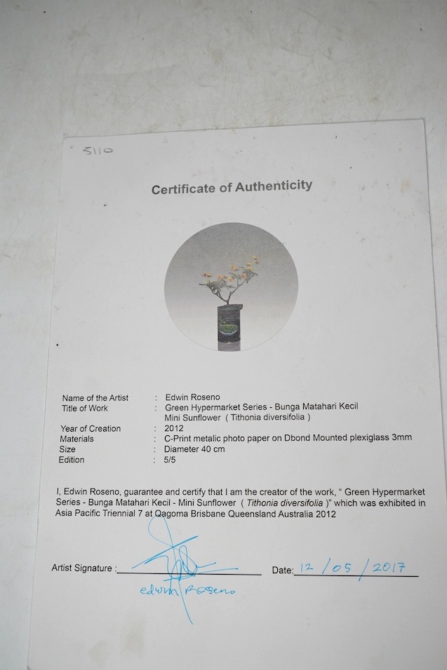 Edwin Roseno (Indonesian, b.1979), contemporary metallic photo print on plexiglass, green hypermarket series, Bunga Matahari Kecil Mini Sunflower, limited edition 5/5, with certificate of authenticity, signed by the arti